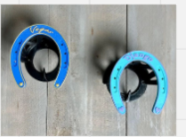 Two named 3D-printed horseshoe bridle hooks on a timber stable wall